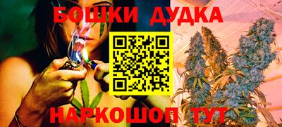 стафф Кандалакша