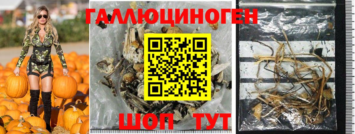 Псилоцибиновые грибы ЛСД Можга