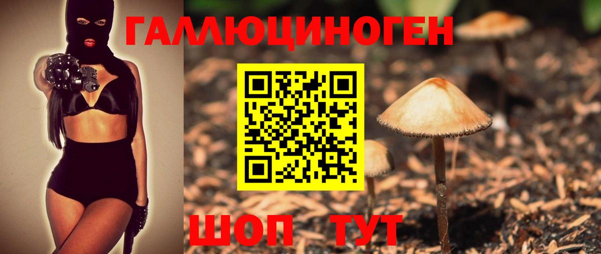 Можга  Галлюциногенные грибы Psilocybine cubensis  Вход с VPN 